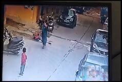 4-Year-Old Girl, Waiting for Father Outside Dargah, Mauled To Death By Stray Dog In Rajasthan's Udaipur