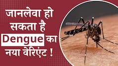 Dengue New Strain: जानलेवा हो सकता है Dengue का नया Variant D2, जानें इसके लक्षण और बचाव - Watch Video