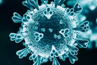 Disease X Explained: All About This Deadly Disease That May Kill 50 Million People