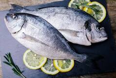 Vibrio Vulnificus: Infection, Diagnosis, Treatment of Rare-Flesh Eating Bacteria That Come From Eating Fish