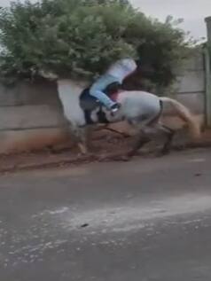 सवारी करने गया था शख्स, मगर घोड़े ने कहीं का नहीं छोड़ा