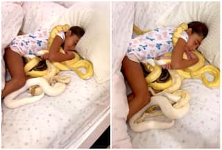 Chilling Viral Video: Little Girl Naps Peacefully With Snakes Slithering On Bed