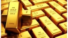 Gold ETF Investment: गोल्ड ETF में निवेश अगस्त में 1,028 करोड़ रुपये पर, 16 माह का उच्चस्तर
