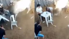 Wild Animal Video: रेस्टोरेंट में घुसकर लोगों को पटकने लगा सांड, एक को तो टेबल सहित उड़ा दिया- देखें वीडियो