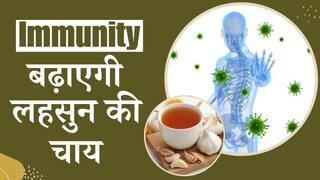 Garlic Tea Benefits: सेहत के लिए रामबाण है लहसुन की चाय, रोज़ाना पीने से शरीर मिलेंगे ये बड़े फायदे - Watch Video