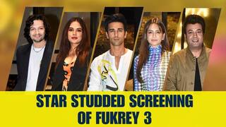 Fukrey 3 Screening: Richa Chadha से लेकर Ali Fazal तक, Fukrey 3 की Screening पर लगा स्टार्स का तांता