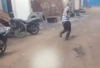 बंदर के गले में रस्सी बांधी, मरने तक घसीटते रहे... चौंकाने वाला Viral Video देखकर खड़े हो जाएंगे रोंगटे