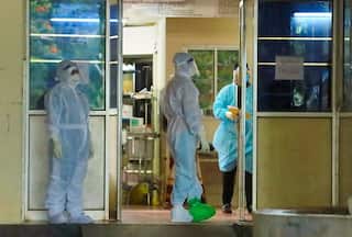 Nipah Virus: Kozhikode Authority Chalks Out Action Plan To Prevent Spread Infection; Details