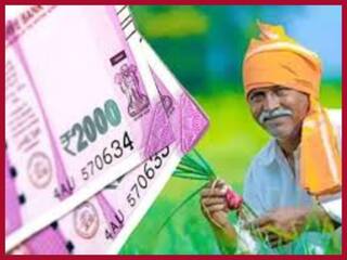 PM Kisan Samman Nidhi Yojana: Will Centre Hike Installment Amount To Rs 12,000 Per Year?
