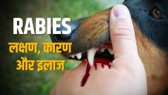World Rabies Day: रेबीज क्या है, जानिए इसके लक्षण, कारण और इलाज
