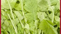Radish Leaves Benefits: मूली के पत्ते खाने के 10 फायदे क्या हैं?