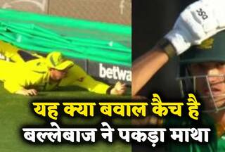 Sean Abbott Catch: क्या 'बवाल' है, ऑस्ट्रेलियाई खिलाड़ी ने पकड़ा ऐसा कैच, बल्लेबाज भी रह गया हैरान