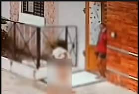india.com top news