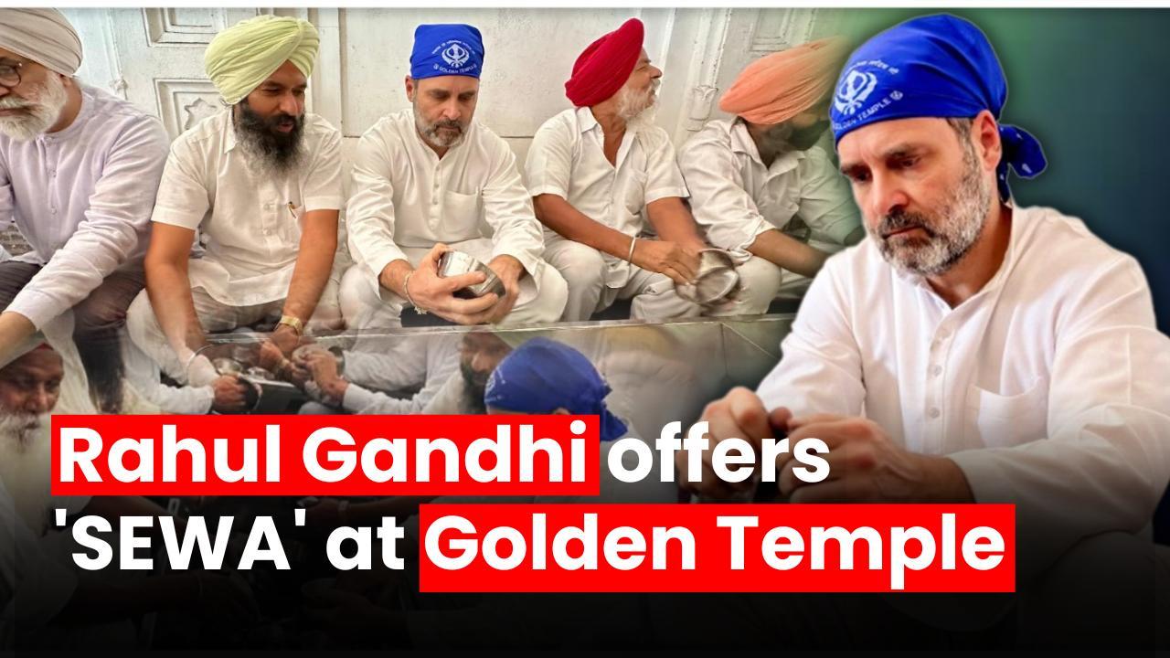 Congress leader Rahul Gandhi pays obeisance at Golden Temple, cleans dishes as part of ‘sewa’