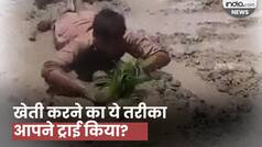 Viral Video: स्मार्टनेस को पीछे छोड़ भाई ने खेती का निकाला अनोखा तरीका, वीडियो देख हैरान रह गए लोग