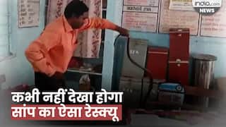 Snake Video: महाराष्ट्र के नासिक में जब क्लास के अंदर निकला सांप, फिर देखें क्या हुआ?