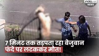 Shocking Video: डॉग ट्रेनर ने क्रूरता की सारी हदें की पार, फांसी पर लटकाकर कुत्ते की ली जान | Watch Video
