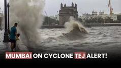 Mumbai on 'Cyclone Tej' Alert! Next two days crucial, warns IMD