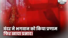 Bandar Ka Viral Video: बंदर की दिखी भक्ति, हाथ जोड़कर मां दुर्गा को किया प्रणाम, फिर चरणों में बैठकर खाया प्रसाद | Watch Video