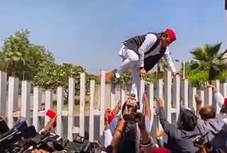 Watch | Akhilesh Yadav Climbs Boundary Wall of Jai Prakash Narayan International Centre After Being Denied Entry