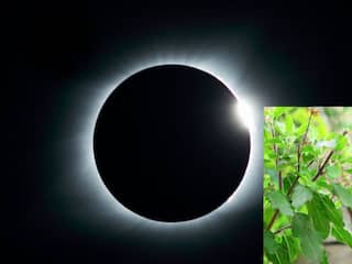 Chandra Grahan 2023: आज लगने जा रहा है चंद्र ग्रहण, सूतक काल शुरू होने से पहले ही कर लें ये जरुरी काम..