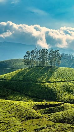 india.com webstories