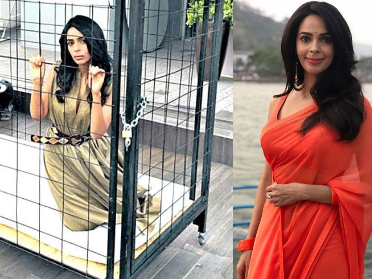 Mallika Sherawat Photos | Latest Pictures of Mallika Sherawat | Mallika  Sherawat: Exclusive & Viral Photo Galleries & Images | India.com  PhotoGallery