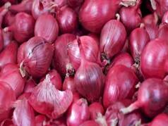 Centre Imposes Minimum Export Price Of USD 800 Per Tonne On Onion Till December 31 To Control Prices