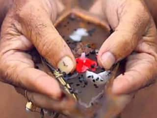 Pitru Paksha 2023 Upay: वास्तु दोष से पाना चाहते हैं निजात तो पितृ पक्ष में करें ये आसान उपाय