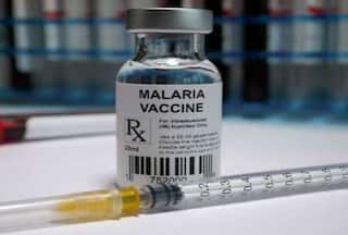 Amidst Unprecedented Demand For Malaria Vaccines, WHO Presents 2nd Malaria Vaccine