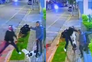 Brave Dog Saves Owner From Attackers, Makes Them Run Away: Watch Video