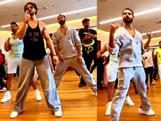 Tiger-Shahid और Varun Dhawan एक साथ, कुछ बड़ा करने की तैयारी में स्टार तिकड़ी, Video में दिखी झलक