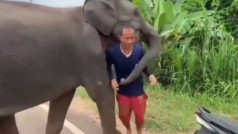 केयरटेकर के जाने पर मायूस हो गया हाथी, पहले सूंड से पकड़कर बाइक से उतारा... फिर लगा लिया गले, देखें Viral Video