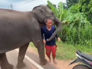 केयरटेकर के जाने पर मायूस हो गया हाथी, पहले सूंड से पकड़कर बाइक से उतारा... फिर लगा लिया गले, देखें Viral Video