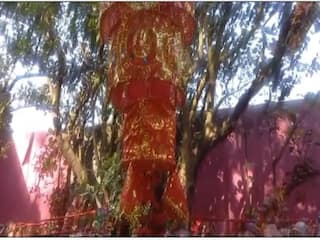 नवरात्रि में शक्ति के रूप में होती है एक वृक्ष की पूजा; जानें क्यों ...