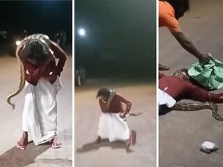 Azgar Ka Video: नशे में चूर बंदे ने गले में लपेट लिया अजगर, मगर अगले ही सेकेंड जमीन खिसक गई | देखें वीडियो
