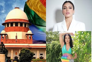 Bhumi Pednekar And Celina Jaitly React to SC Verdict on Marriage Equality