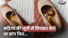 Cobra Video: महिला की जूती से अचानक निकला कोबरा सांप, पास आते ही किया अटैक | Watch Video