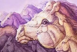 Optical Illusion: एक दो नहीं बल्कि तस्वीर में छिपे हैं कुल 11 घोड़े, दम है तो ढूंढकर दिखा दो | हल भी यहीं है