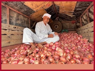 व्यापारियों के हड़ताल वापस लेने के बाद नासिक मंडी में प्याज की नीलामी शुरू, नंदगांव में हड़ताल जारी
