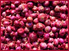 Onion Prices Increase to Rs 90 in Delhi, Upsurge Likely Till December: Here's How Centre Takes Steps to Control Price Rise