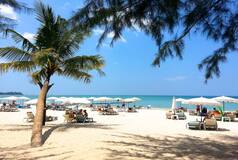ATTENTION Indian Tourists! You Can Now Visit Thailand Without Visa For Next Six Months; Details Here