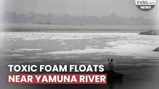Toxic foam floats near Yamuna River bank in Delhi