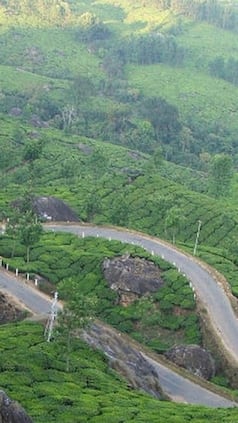 india.com webstories