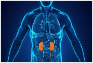 किडनी Dialysis के बाद कितने दिन जिंदा रह सकता है मरीज? डॉक्टर से जानें