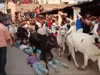 india.com top news
