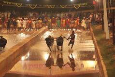 Bengaluru's Maiden Kambala Event on Nov 25-26; Everything You Need To Know