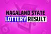 Nagaland Lottery Sambad Result 1PM For 03.08.2024 LIVE: Check DEAR NARMADA MORNING Rs. 1 Crore Lucky Draw Winning Numbers HERE