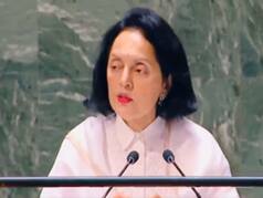 Israel-Hamas War: India Advocates Establishment Of 'Sovereign, Independent And Viable' State Of Palestine
