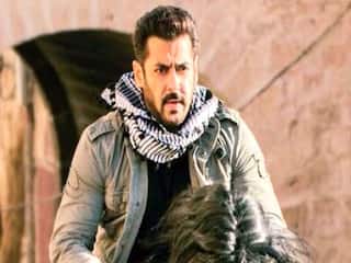 Tiger 3 के कलेक्शन में आई भारी गिरावट, कछुए की रफ्तार से बढ़ रही Salman Khan की फिल्म